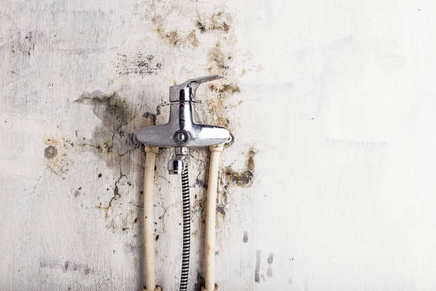 Mold Testing and Removal in Eidson Road, TX